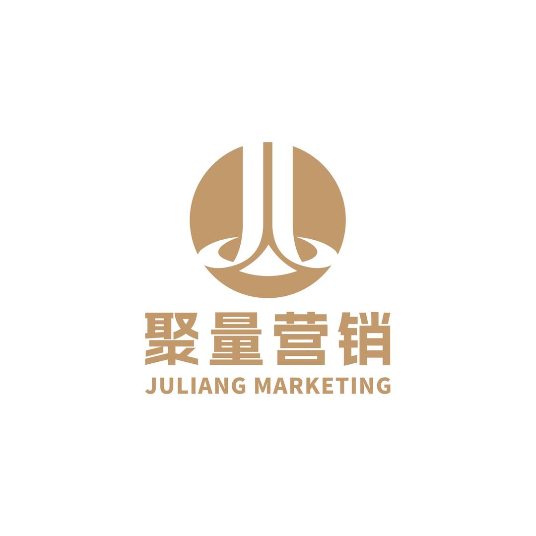 聚量数字营销策划