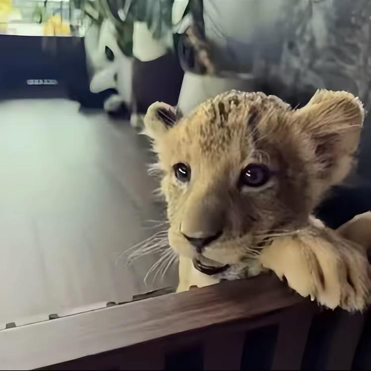 话说三遍淡如水