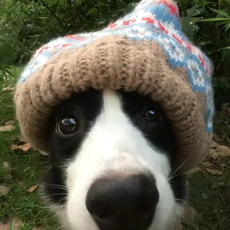 路易斯📷.（接后期特效）