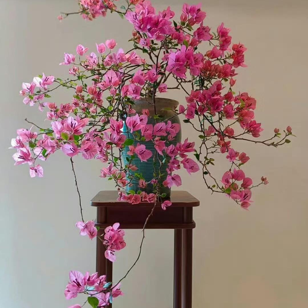 花元素臻选
