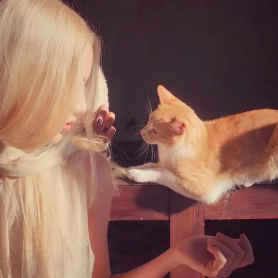 ㅤㅤㅤㅤㅤHaven