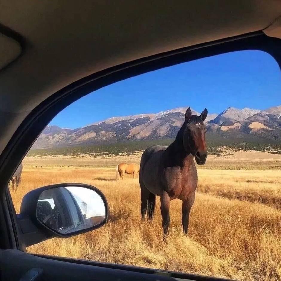 𝙎𝙖𝙗𝙞𝙧.ღ