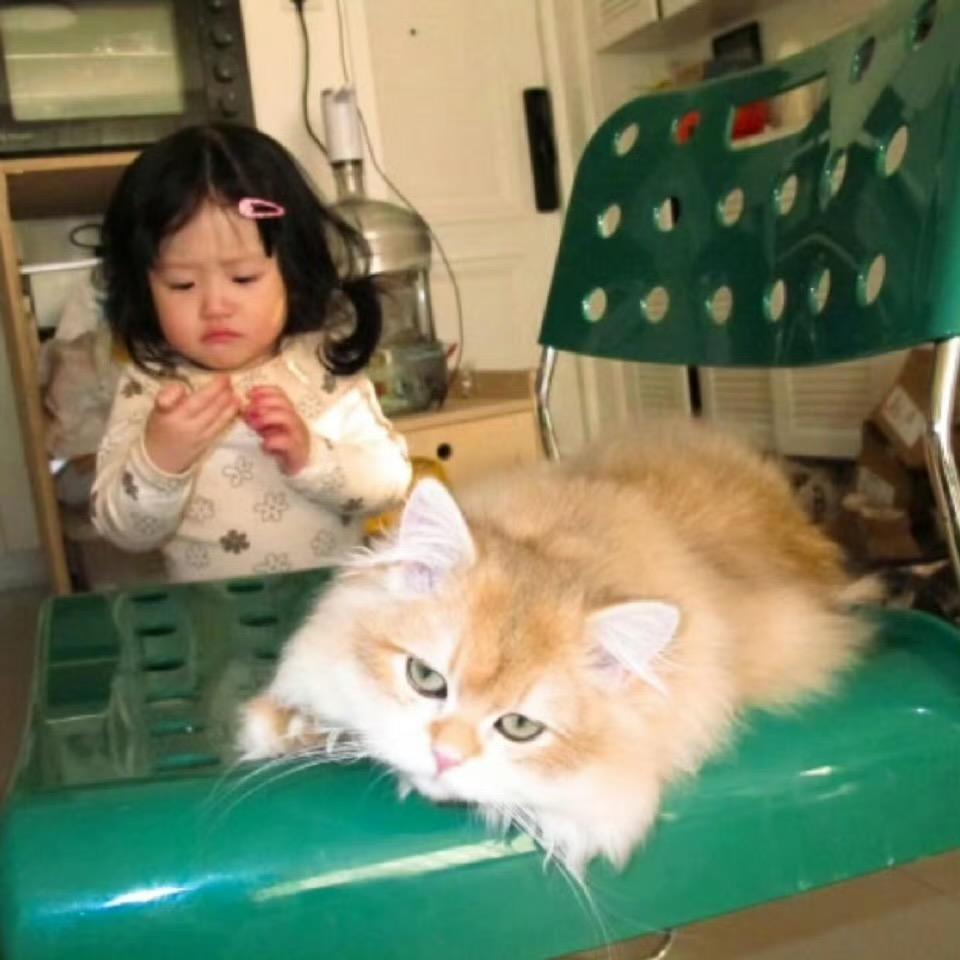 西伯利亚社恐母猴.