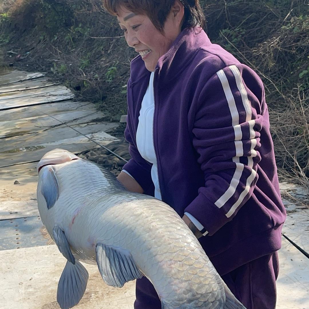 南顿王坡荣冉高密度垂钓园