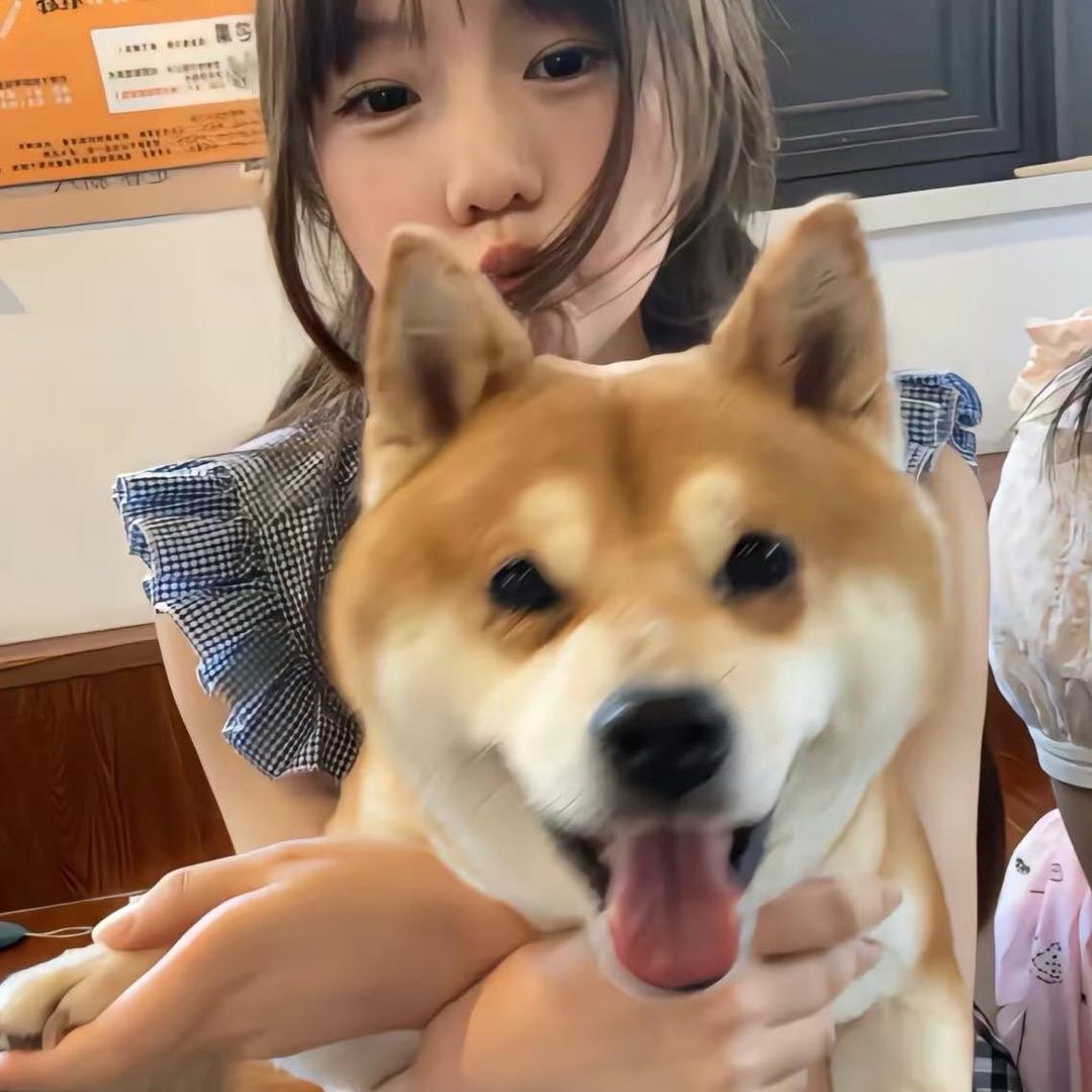 两只羊.