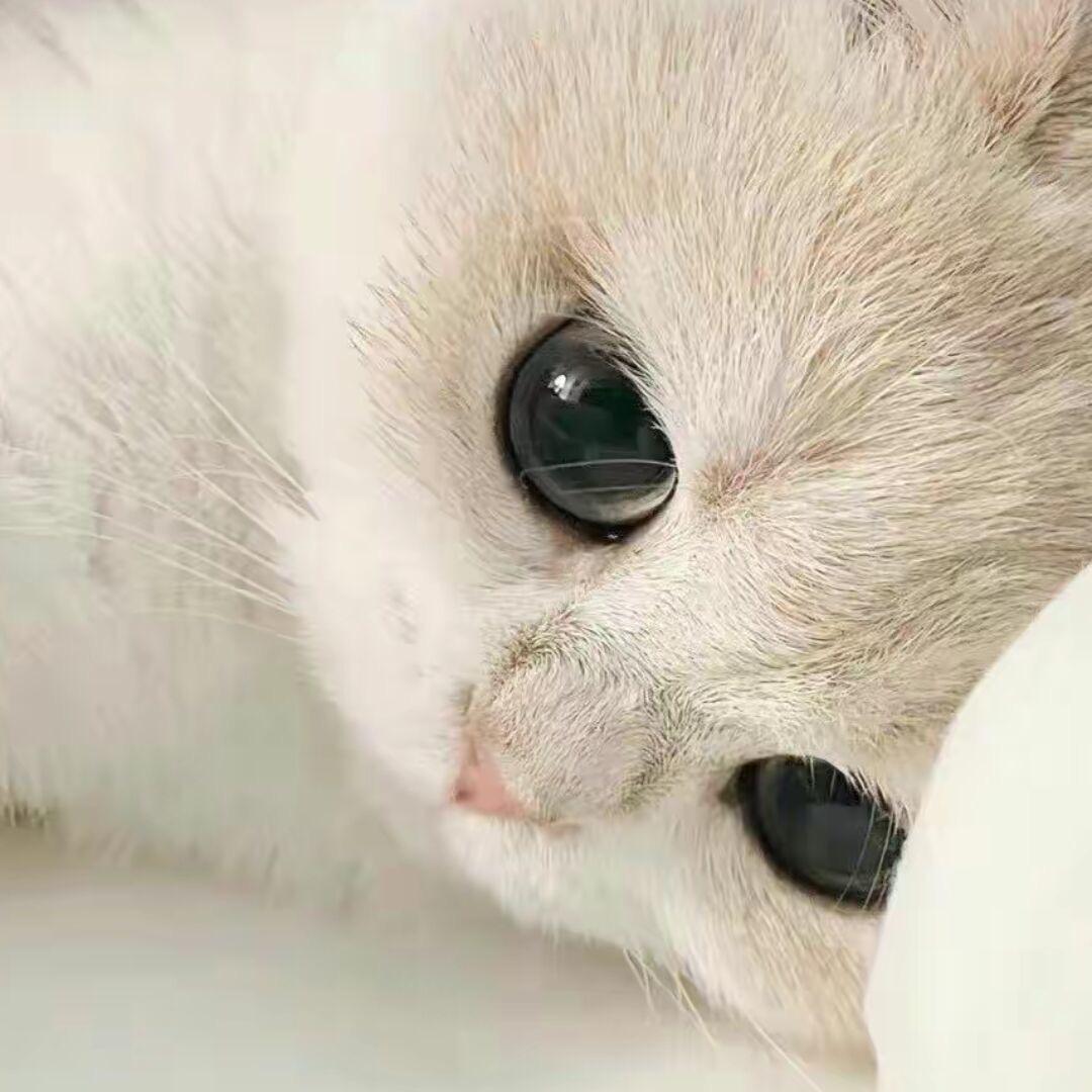 129