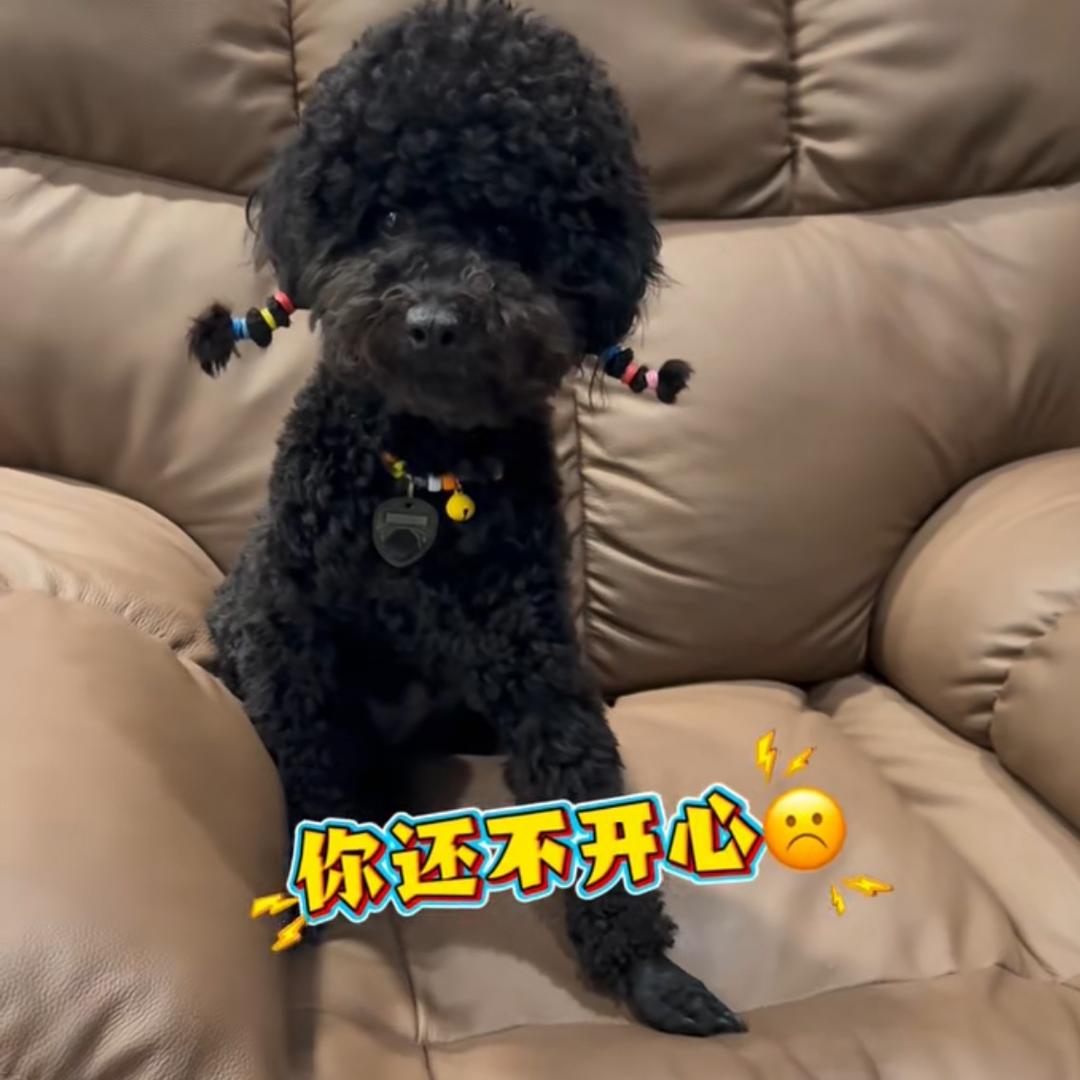 🫦五月逛仙桃ᵞ⁸