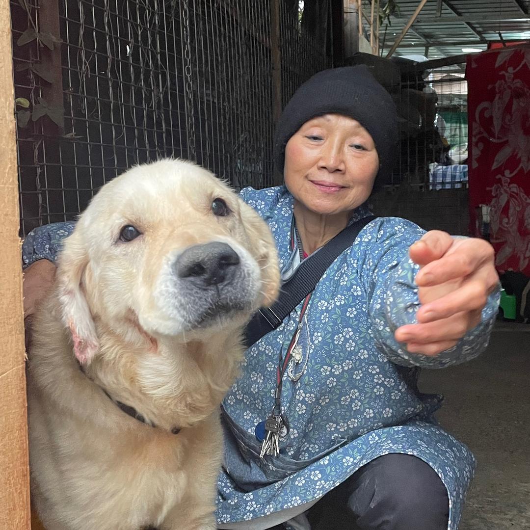 文阿姨和她的毛孩子们