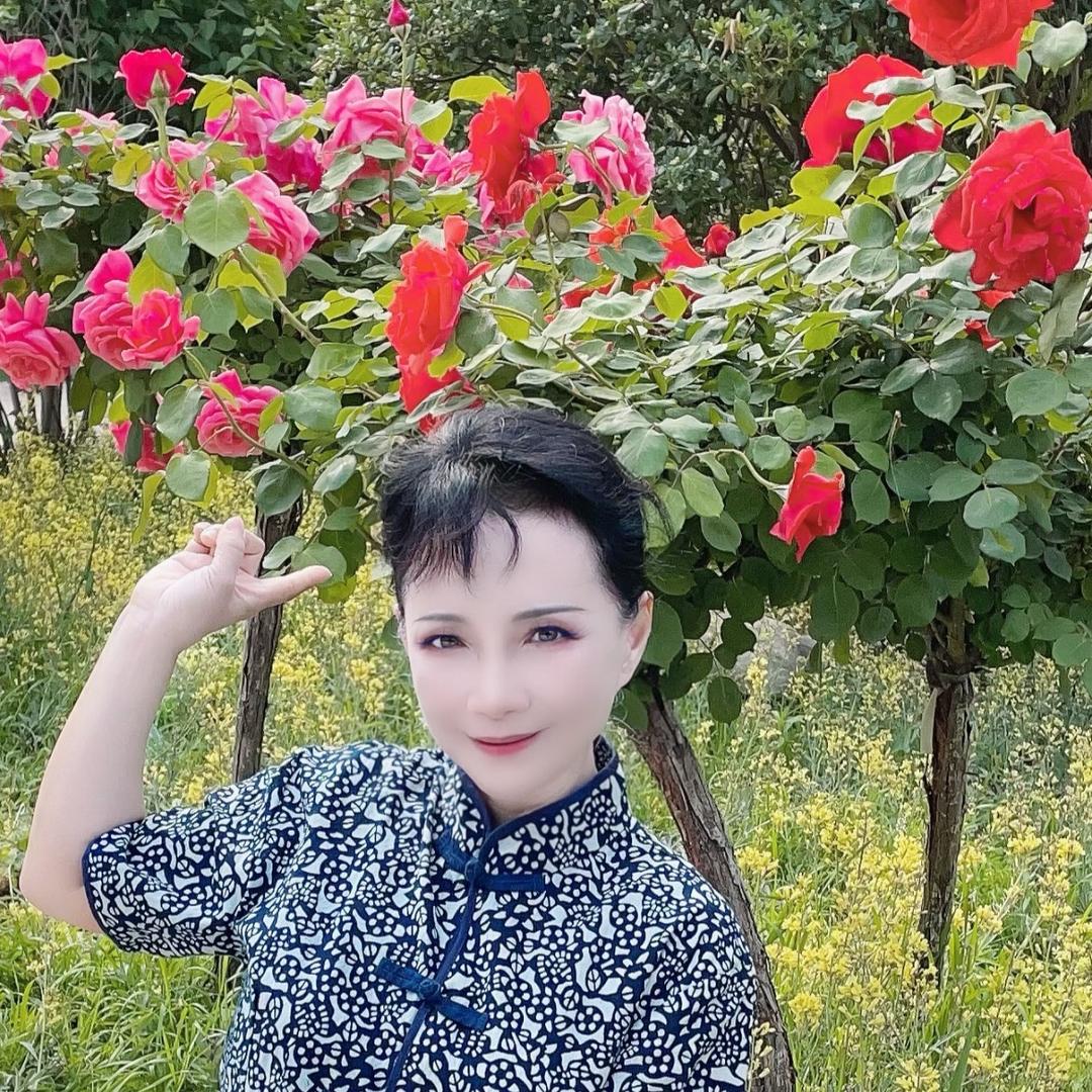 梅宝