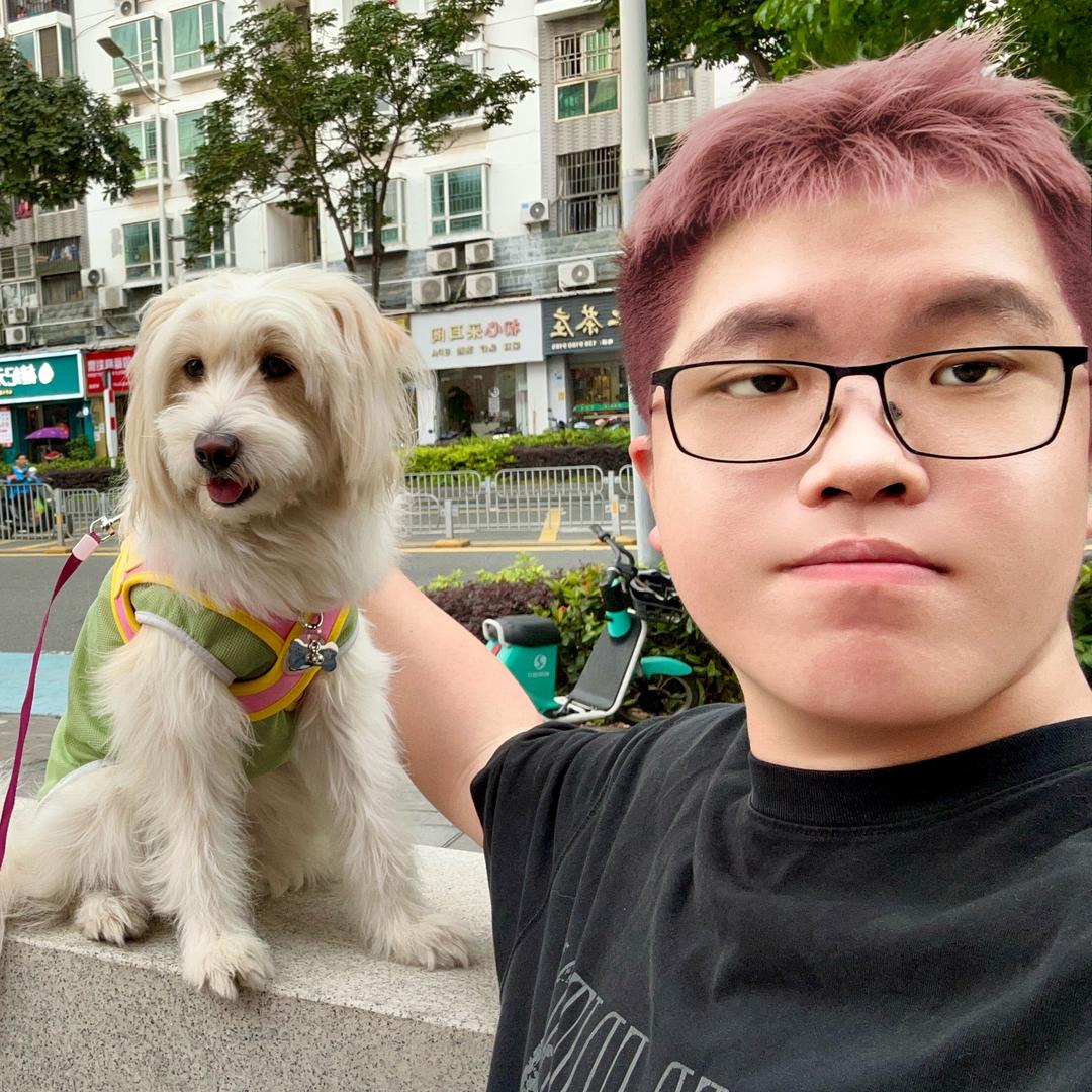 投法像真法吗