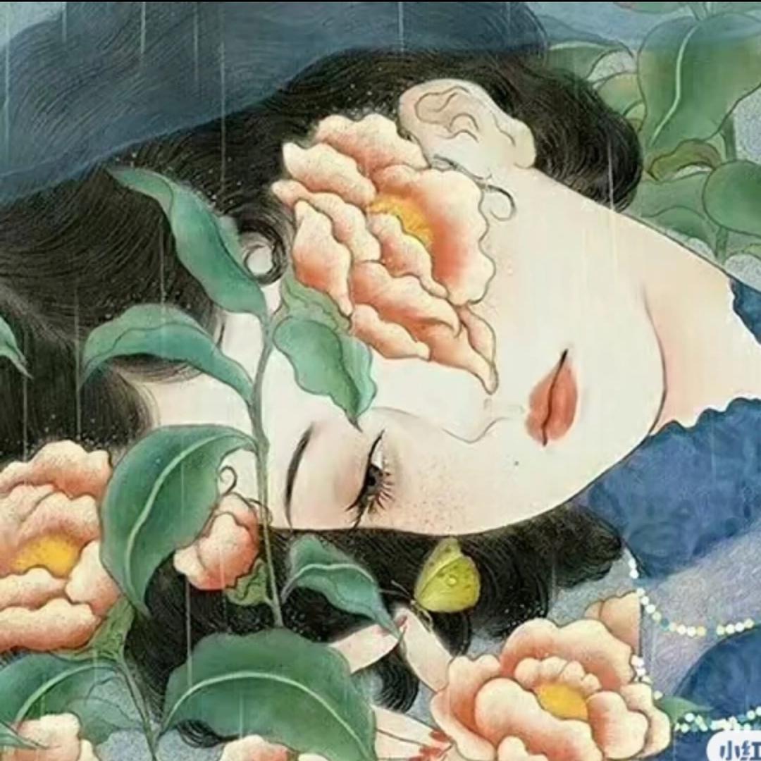 知君的朋友圈