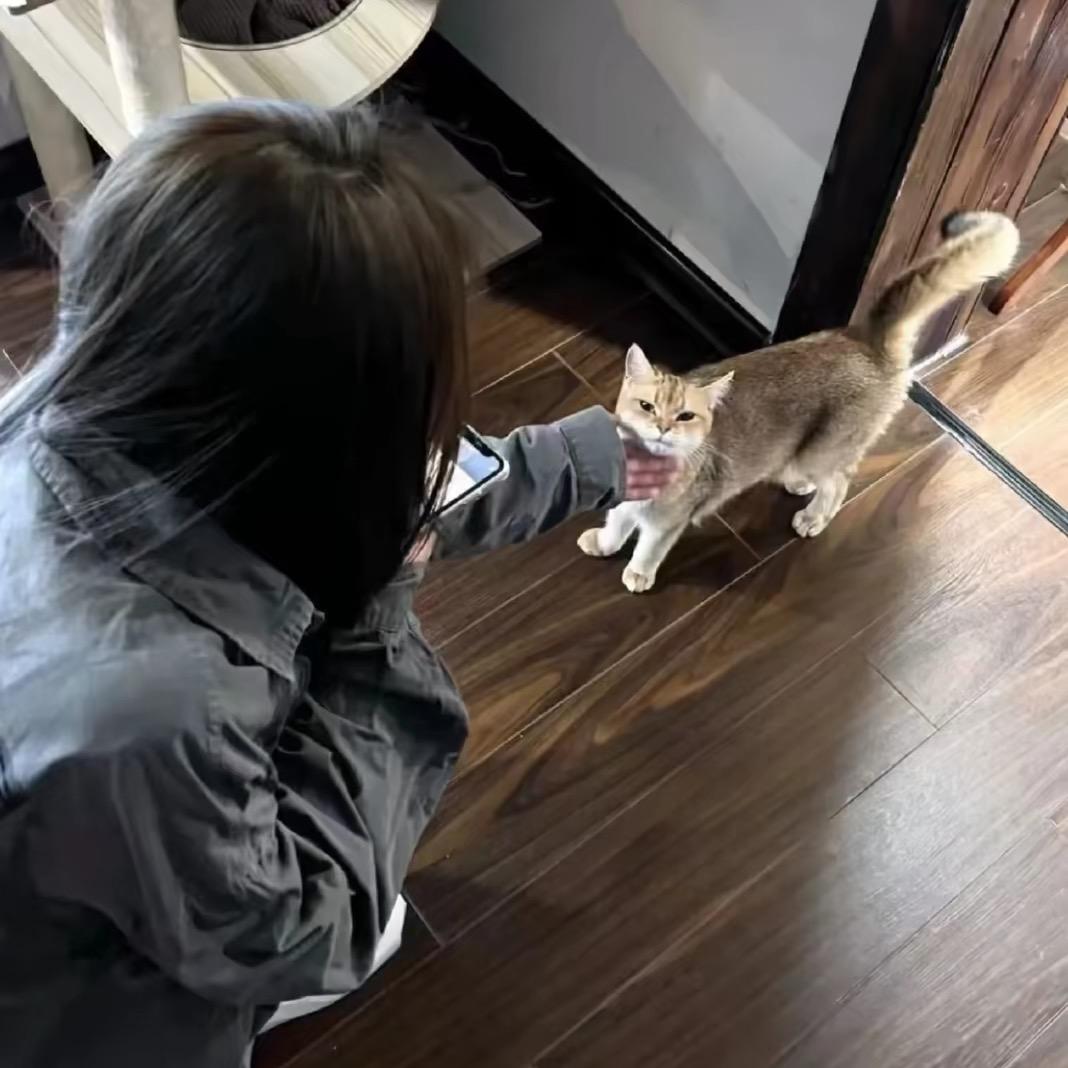 他说他真的爱她