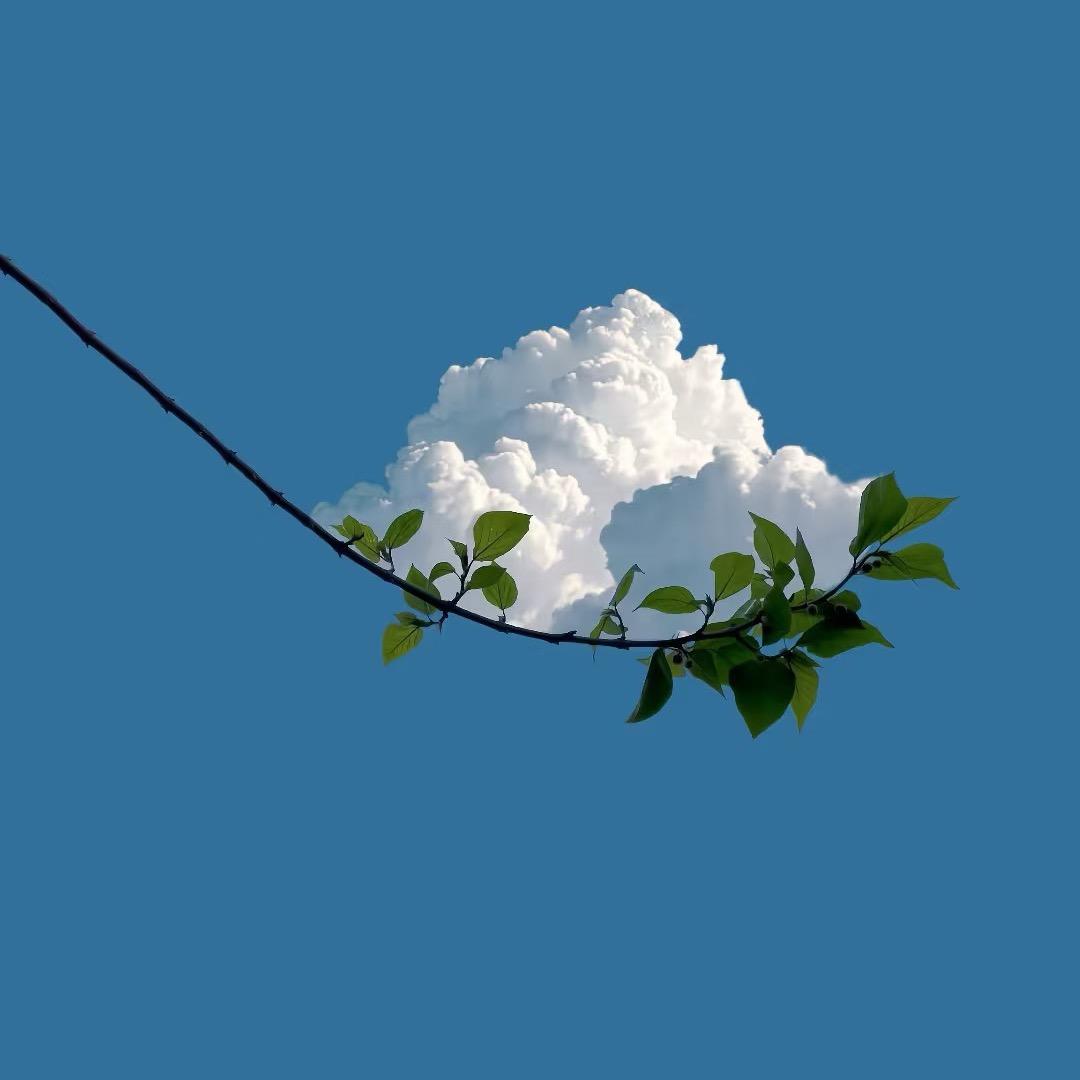 檀晞坊