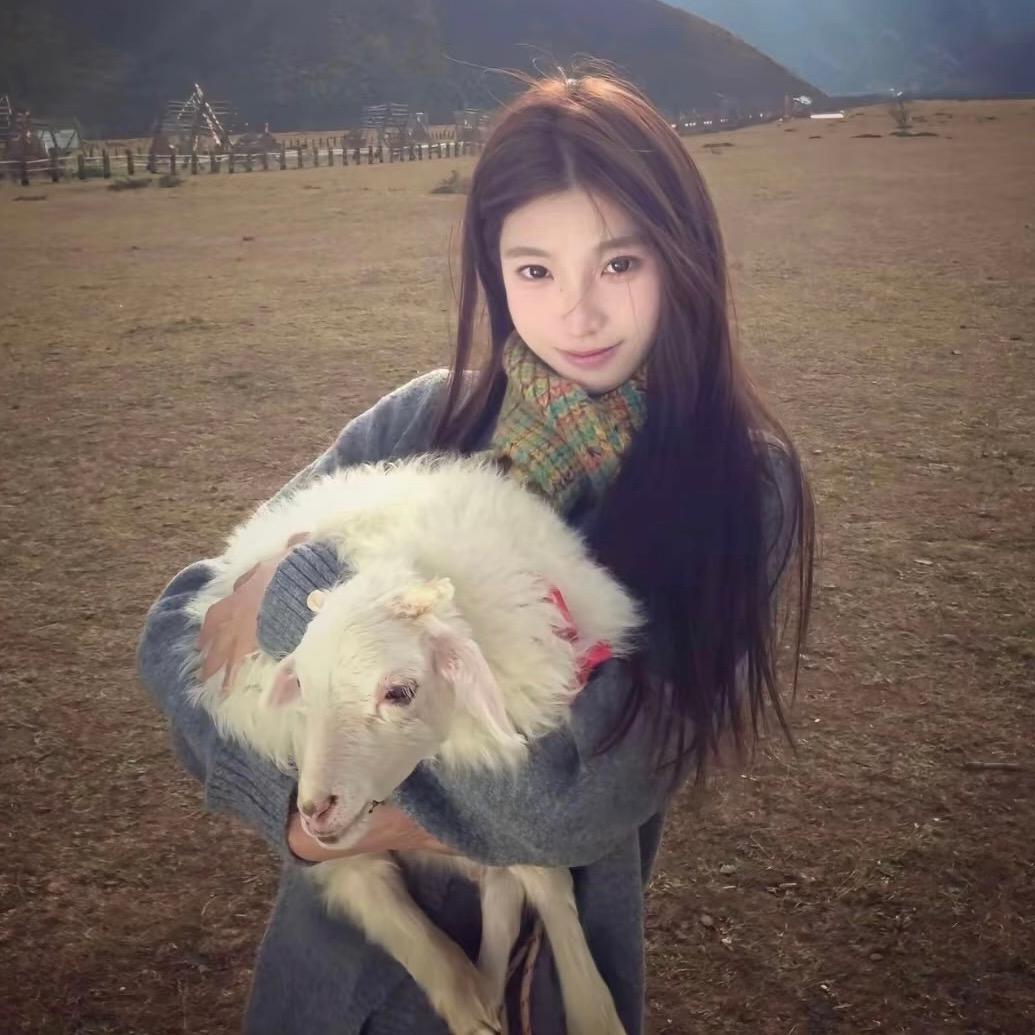 小妮子.