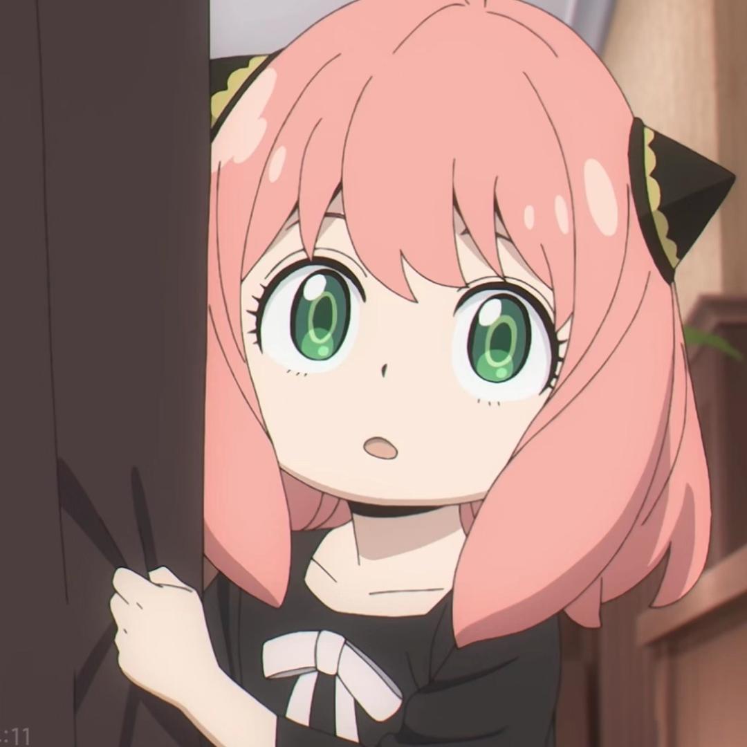 论一只小猫咪的自我修养