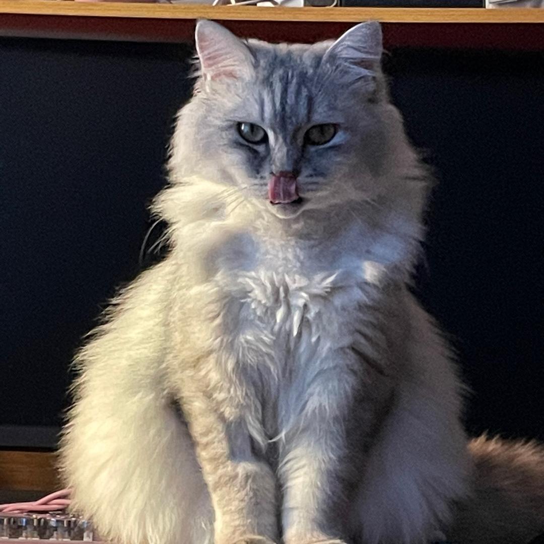 小炎子
