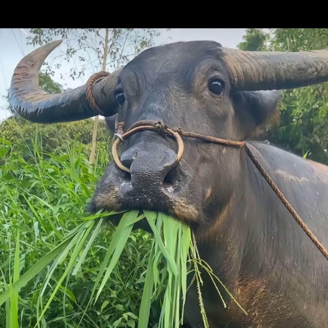 请替我保密