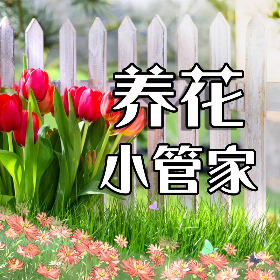养花＊小管家
