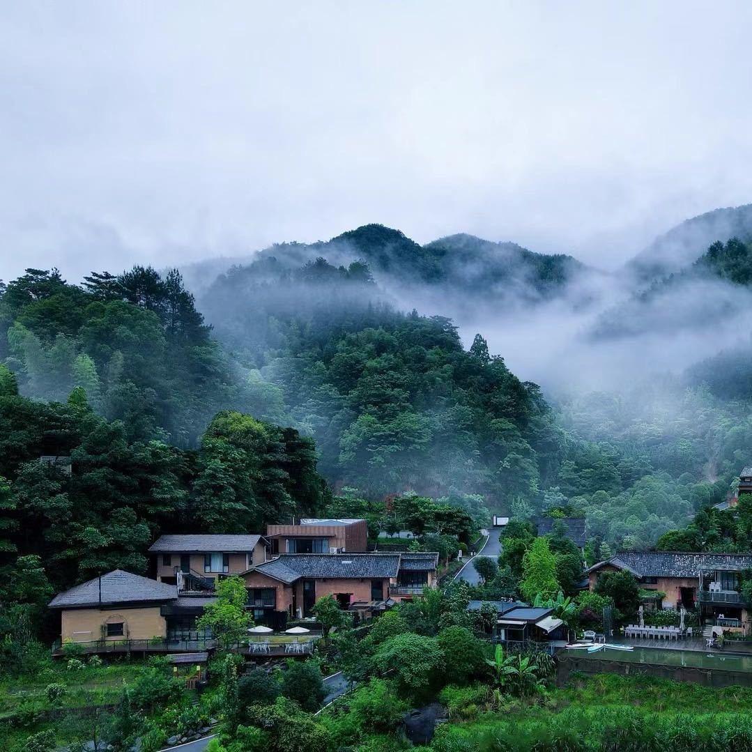 友院