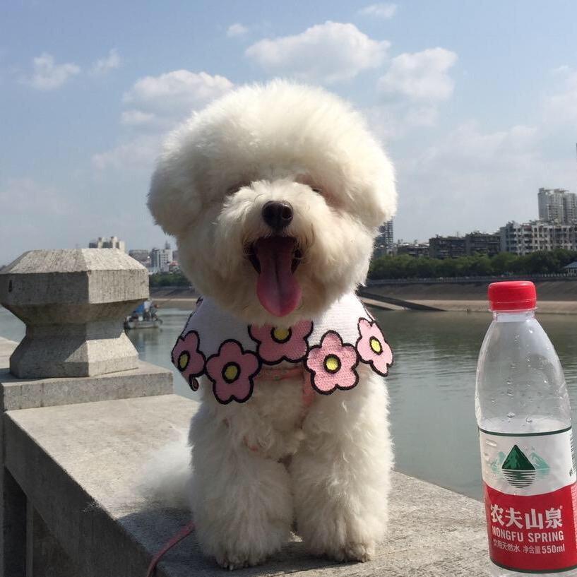 米粒🧚‍♀️