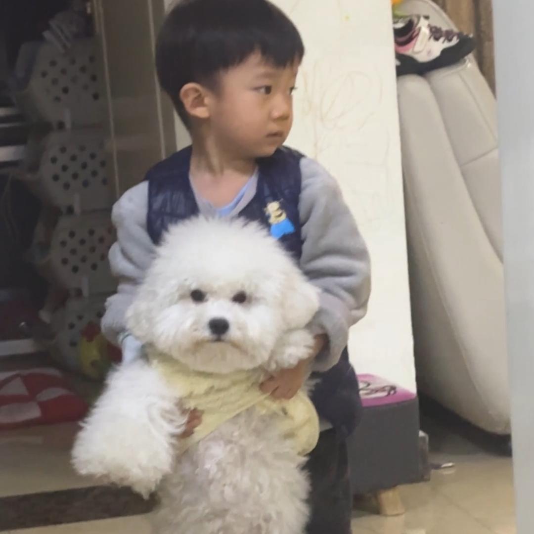 临沂酸奶来啦