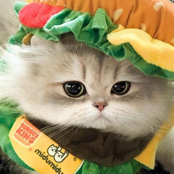 阿淼（减肥版）