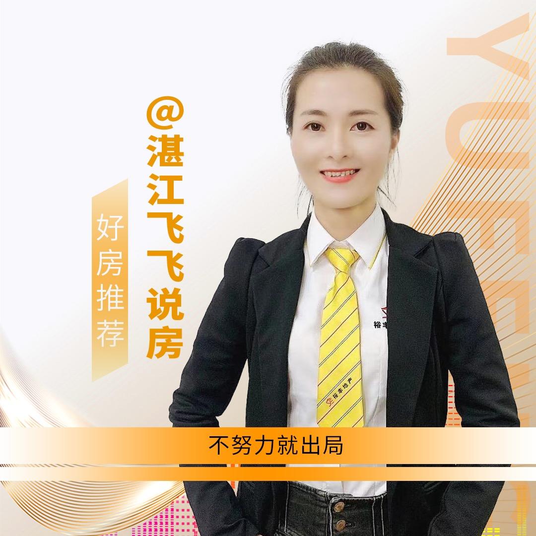 湛江房产小飞飞