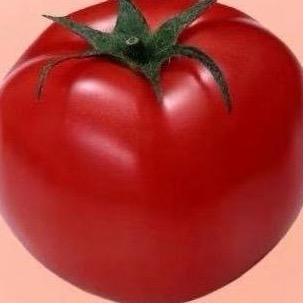 掺一半