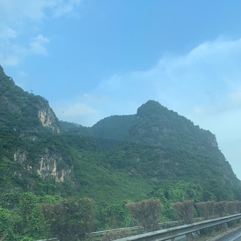 墨凉@