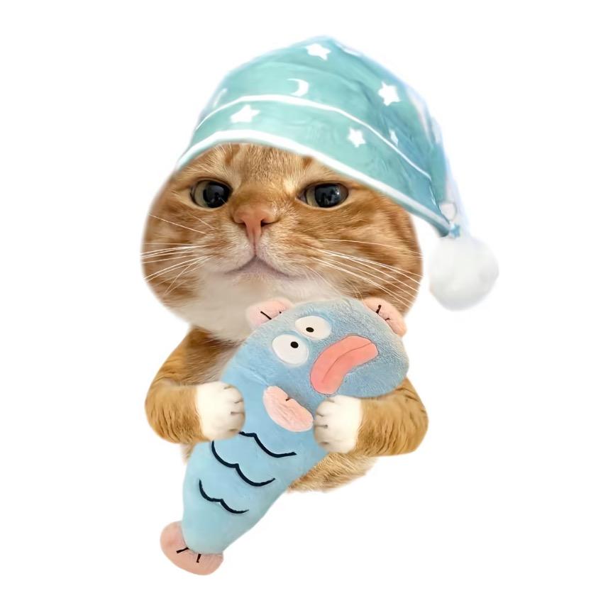 狄梨猞斯旺得福🍕!!!