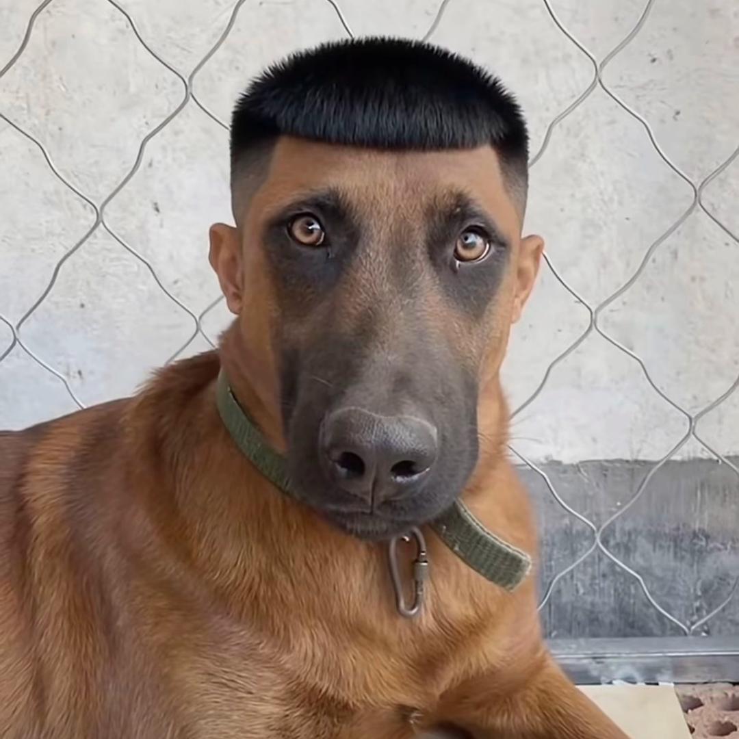 轰一样的男人 　　　 　　　　༽ 🪳