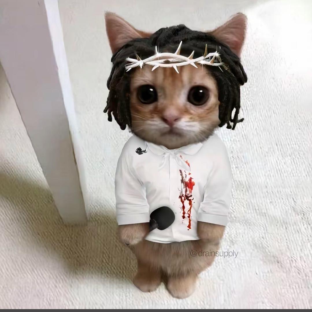 不呆