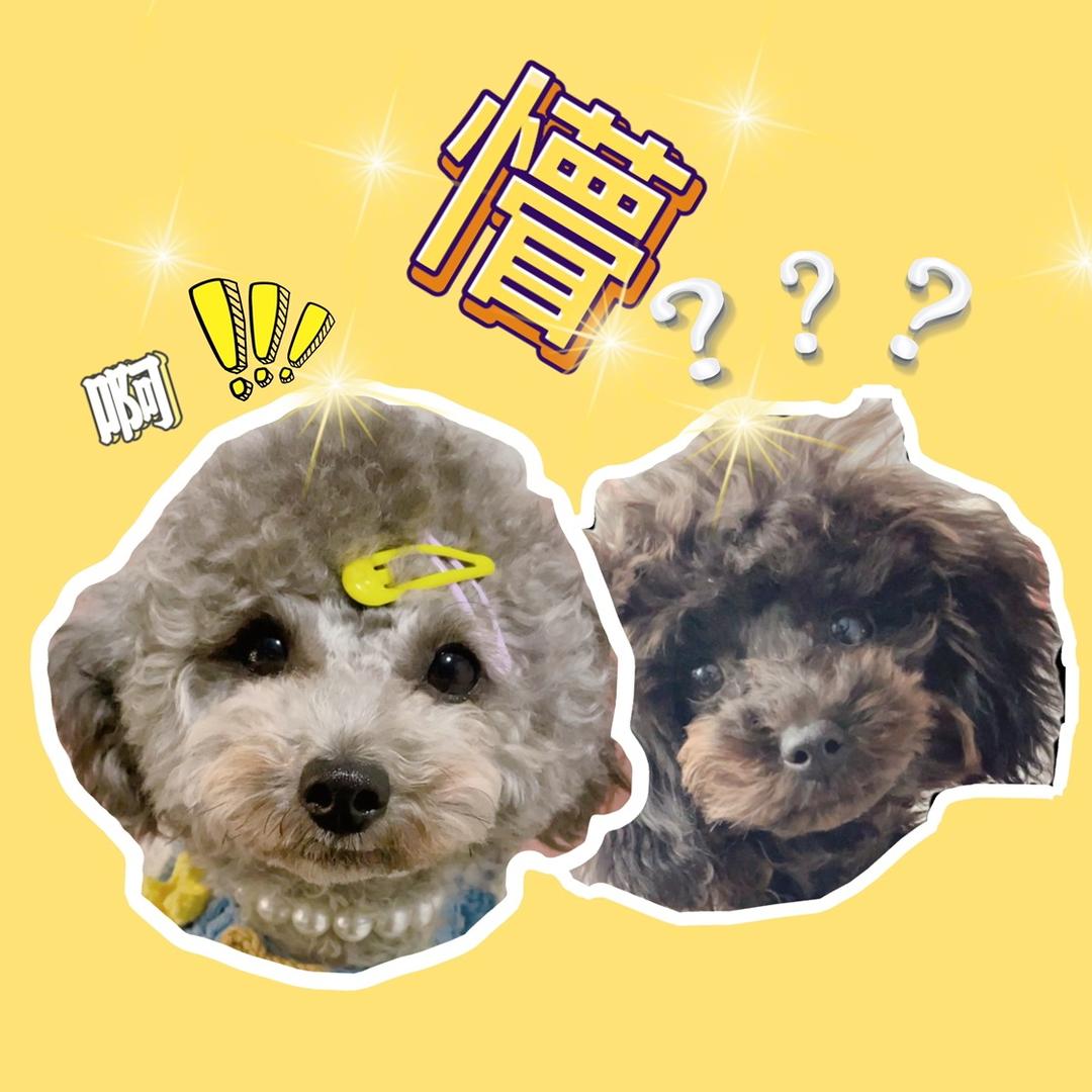 抱抱和十一