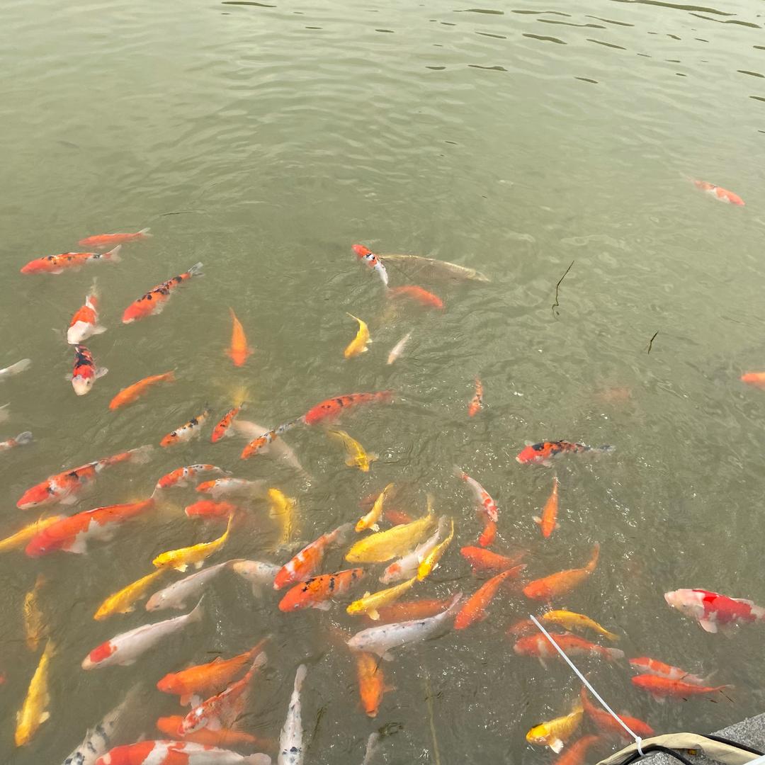 没有简单的诺言