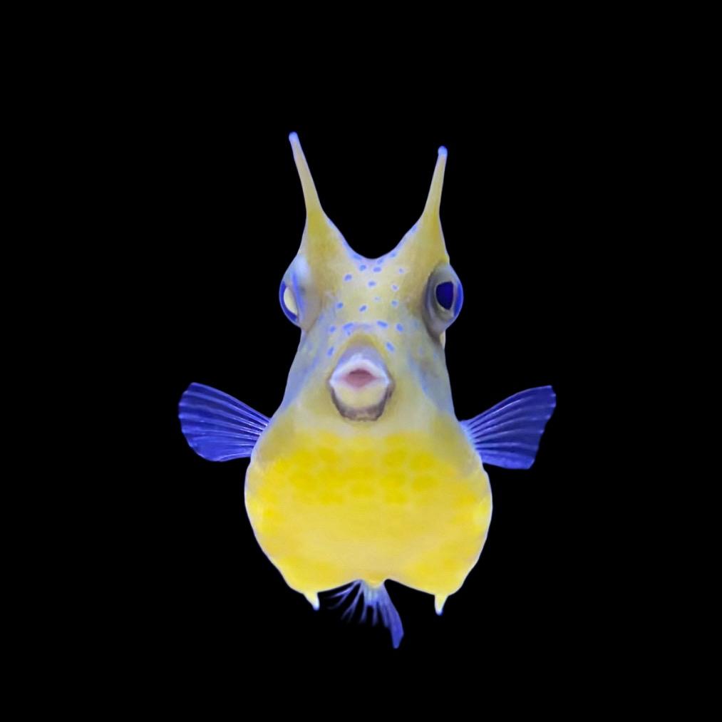 来海生物科技