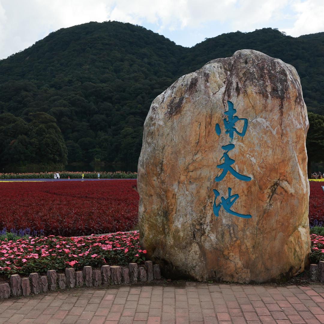 才叔