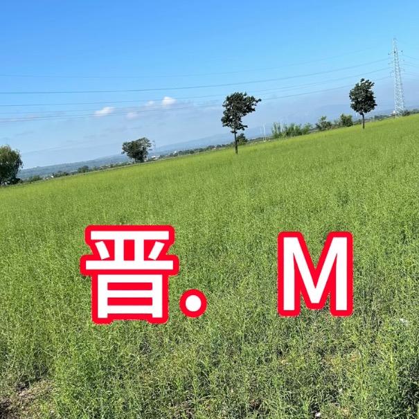 极致单品——柴胡