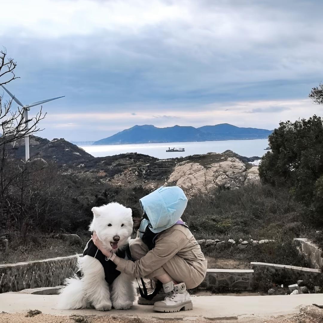 我不懂的ni
