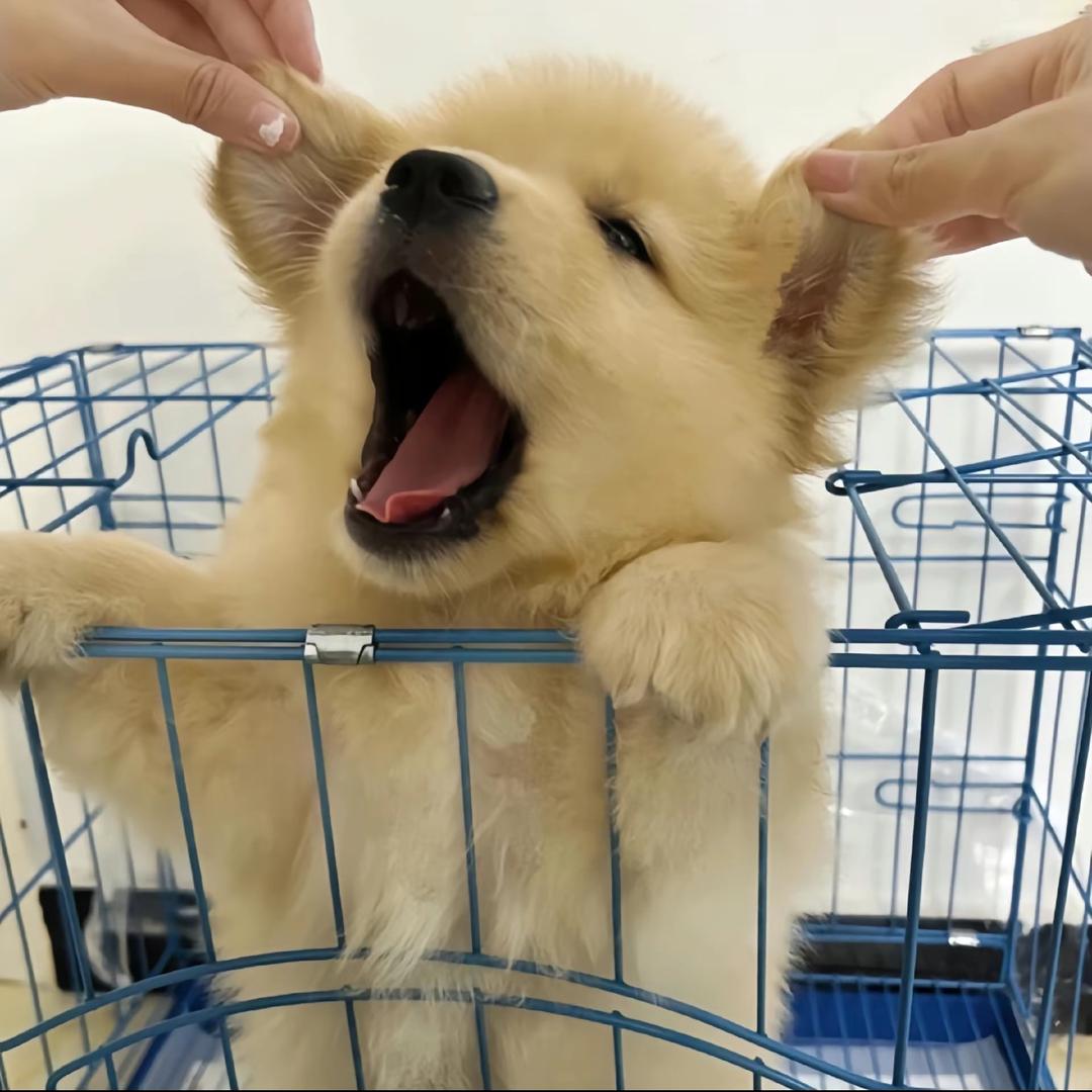 舞蹈草稿箱