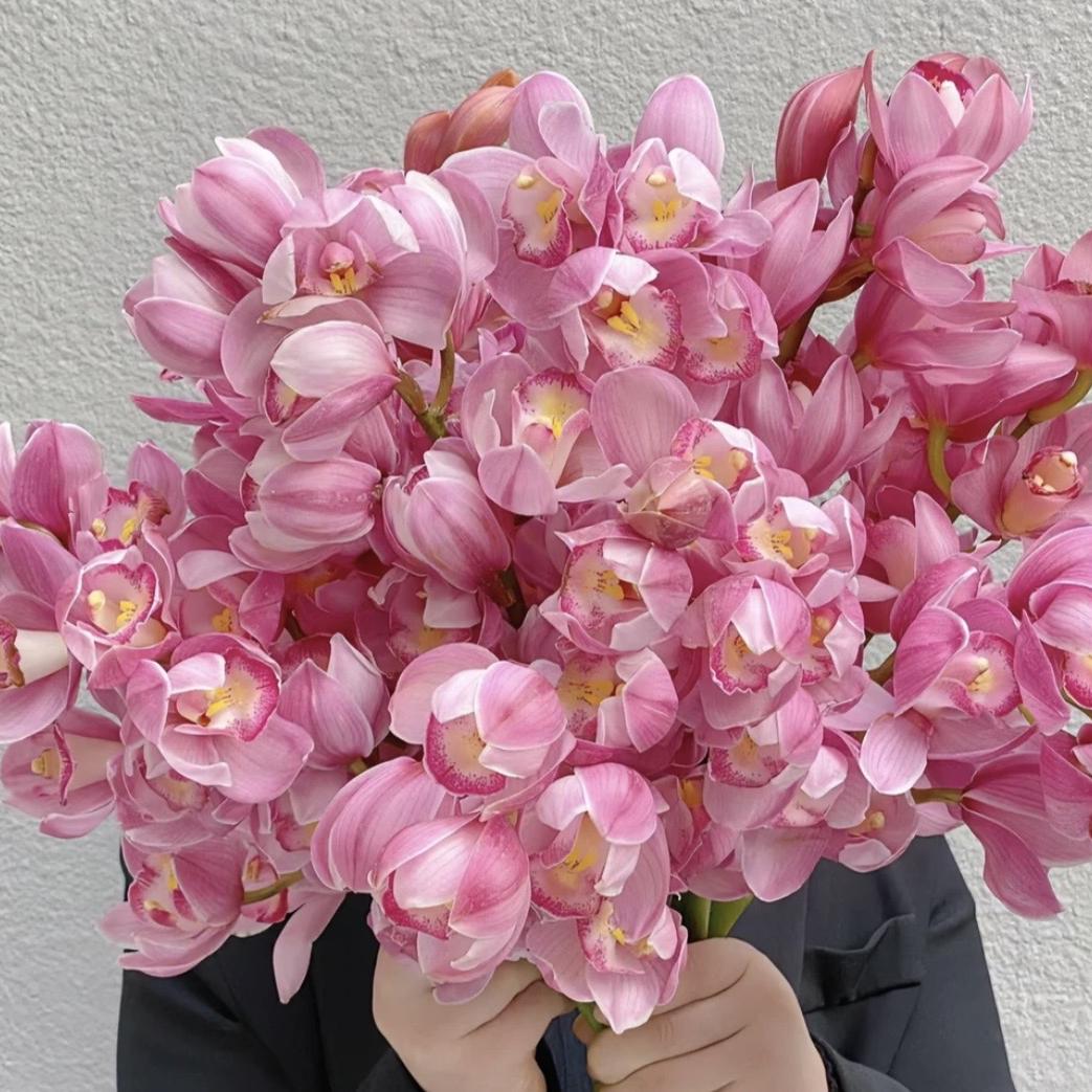 蓝精灵花卉种植园