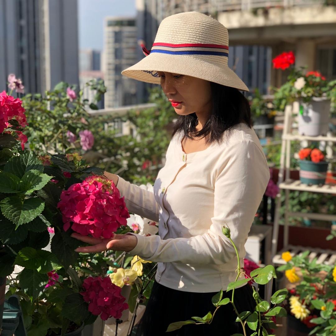 Lily的阳台花园