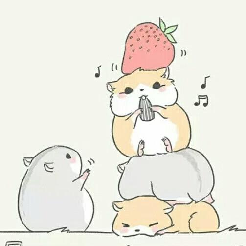 小猴子（南京同城出仓鼠🐻）