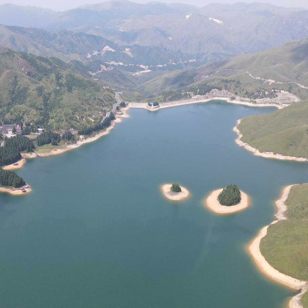 过磅单代打及设计