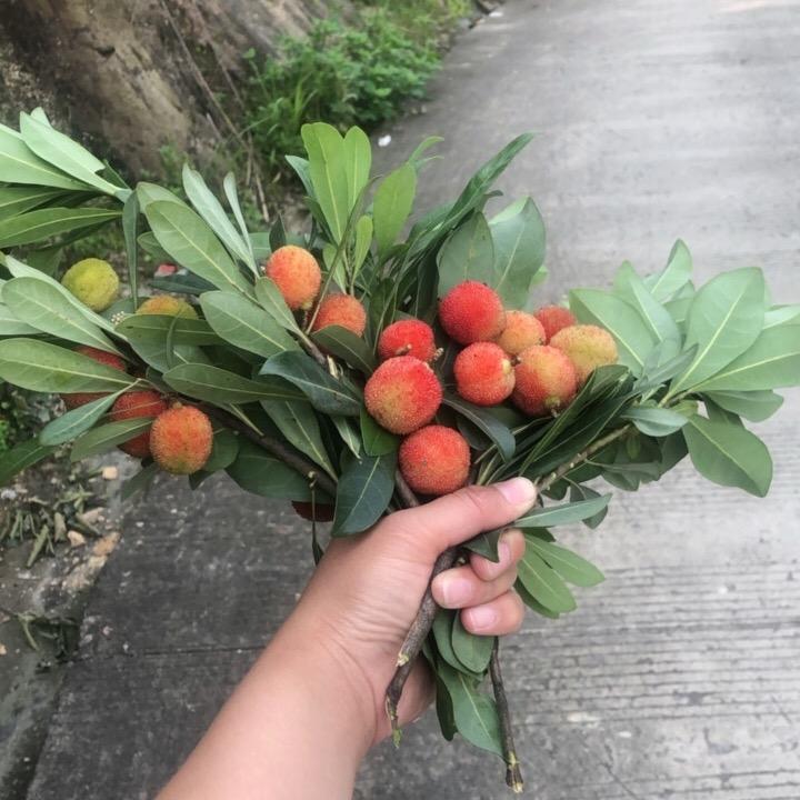 开心每一天