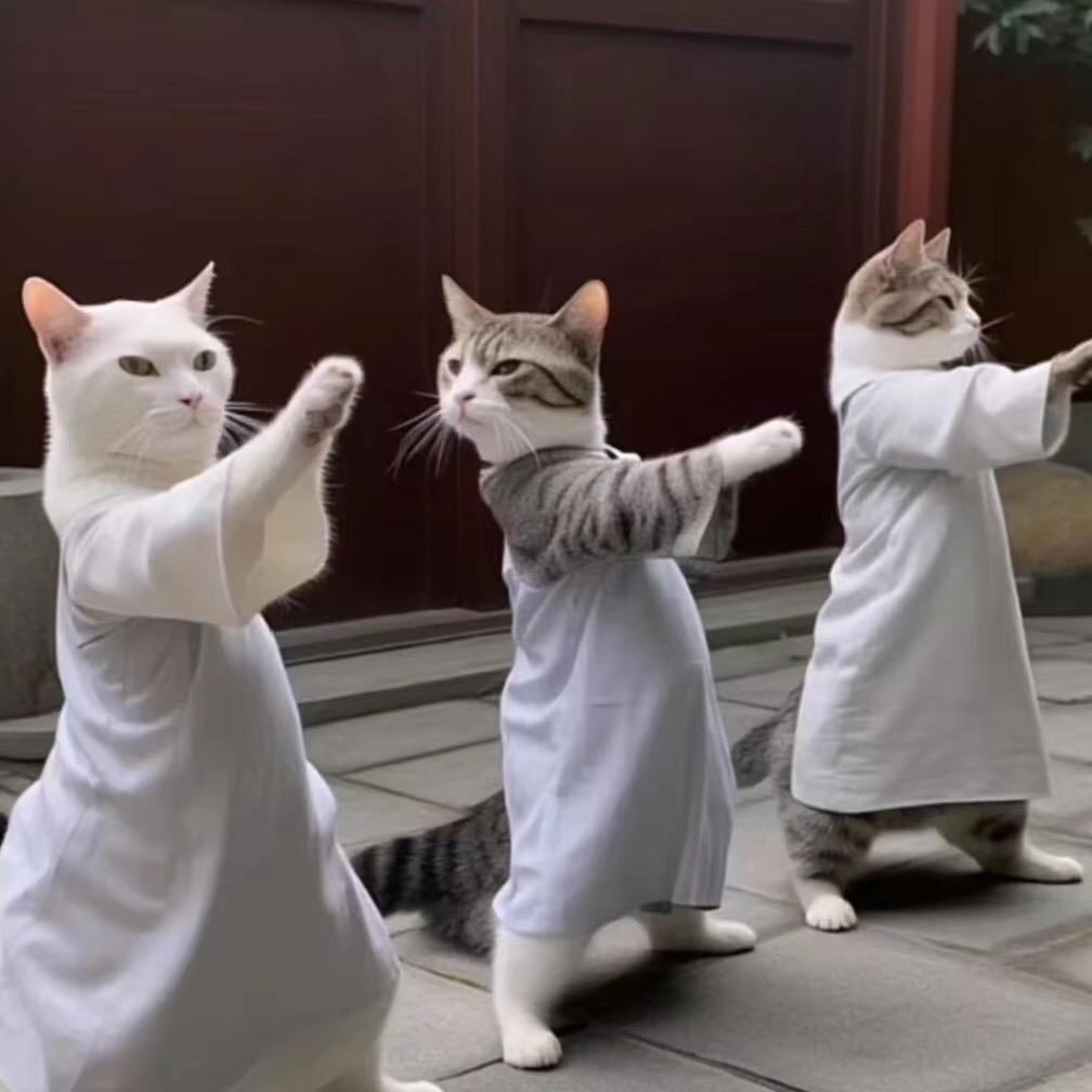 火丁丁农业（熊大龙须菜）