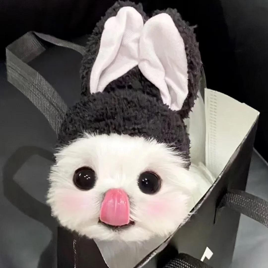 33很棒-