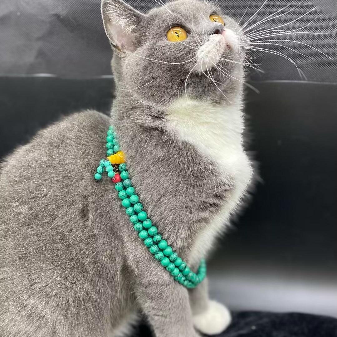 一个人的小杂货铺子