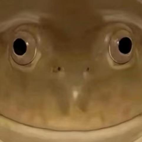 𓆝𓆟𓆜𓆞
