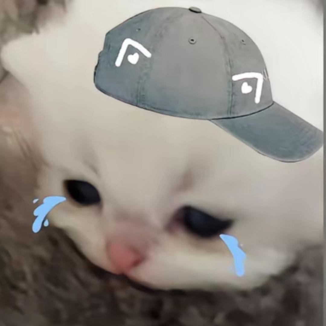 哈基咪大王🐈