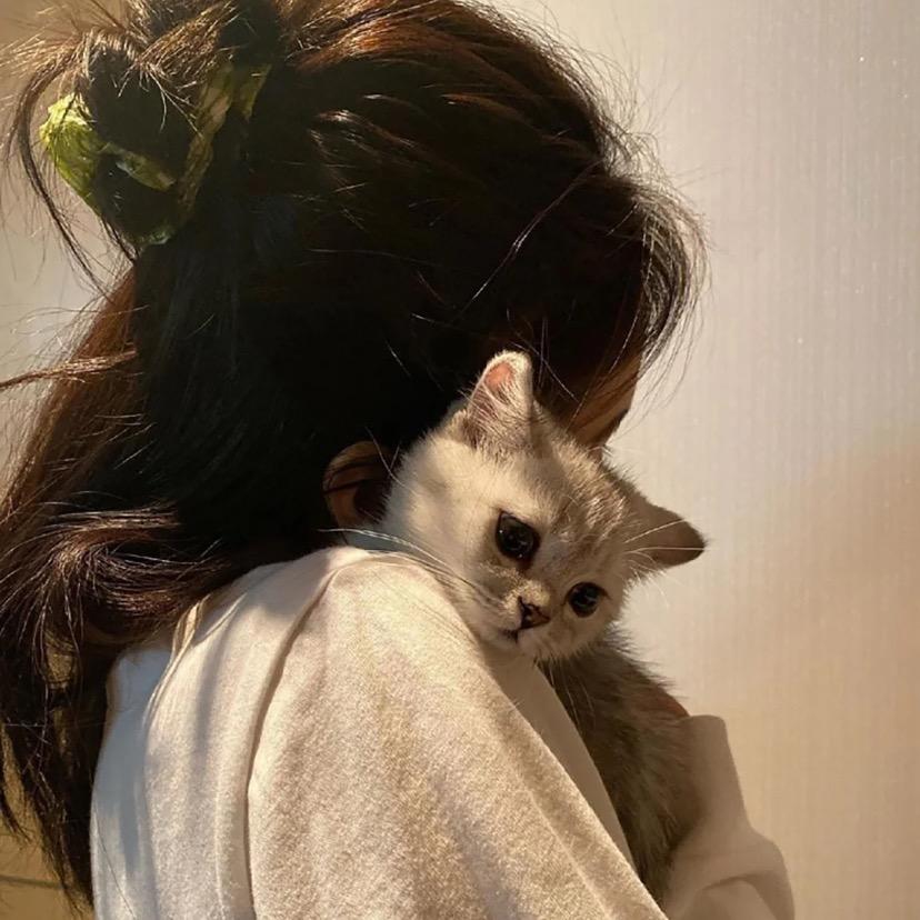 了u